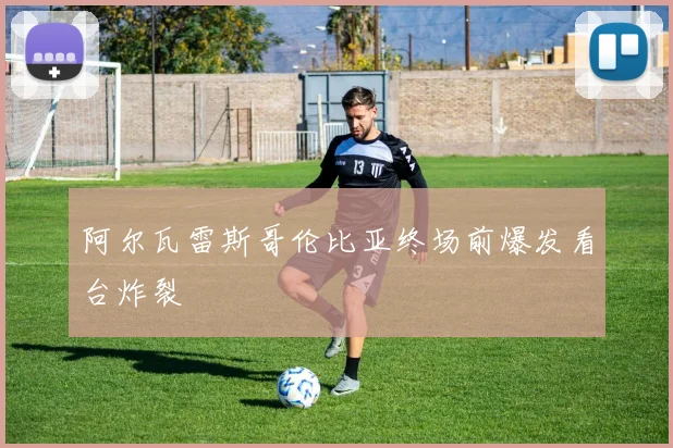 阿尔瓦雷斯哥伦比亚终场前爆发看台炸裂