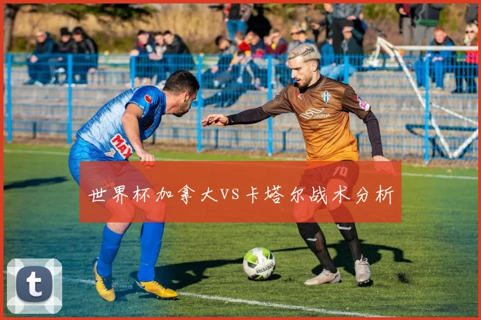 世界杯加拿大vs卡塔尔战术分析