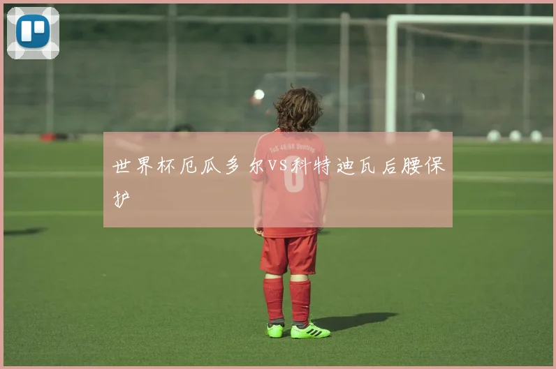 世界杯厄瓜多尔vs科特迪瓦后腰保护