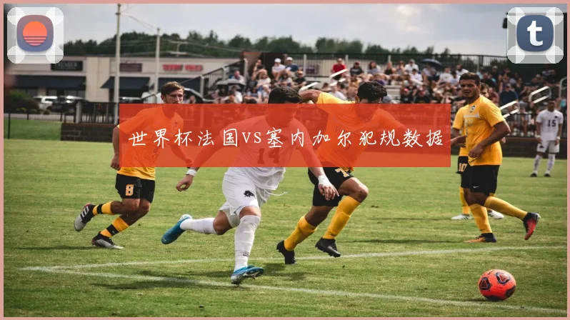 世界杯法国vs塞内加尔犯规数据