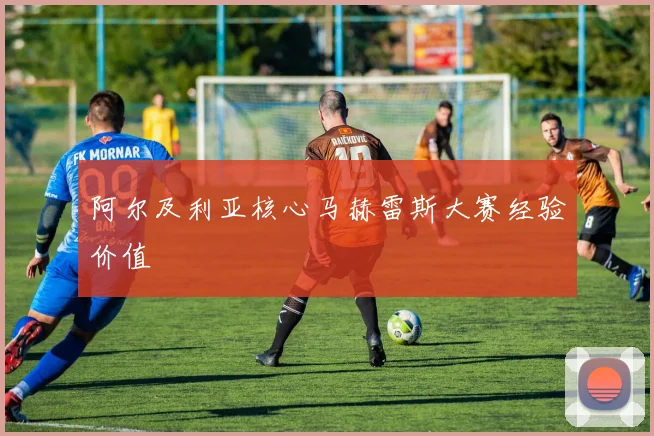 阿尔及利亚核心马赫雷斯大赛经验价值