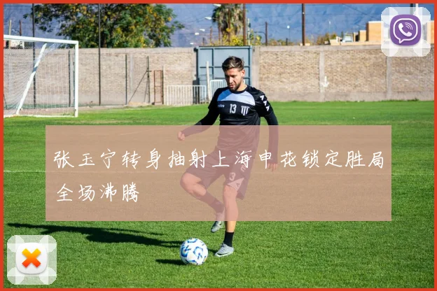 张玉宁转身抽射上海申花锁定胜局全场沸腾